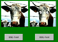 bse.gif (12732 Byte)